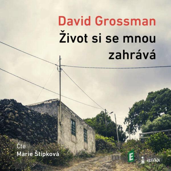 Život si se mnou zahrává - David Grossman