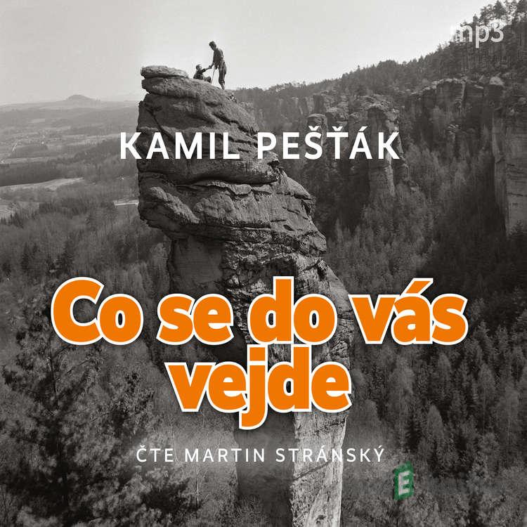 Co se do vás vejde - Kamil Pešťák Co se do vás vejde - Kamil Pešťák