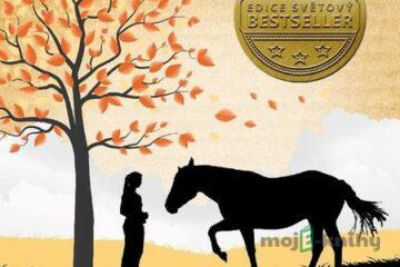 Krasojezdkyně - Jojo Moyesová