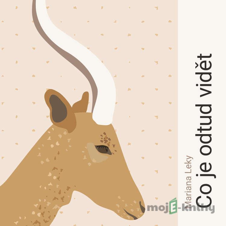 Co je odtud vidět - Mariana Leky Co je odtud vidět - Mariana Leky