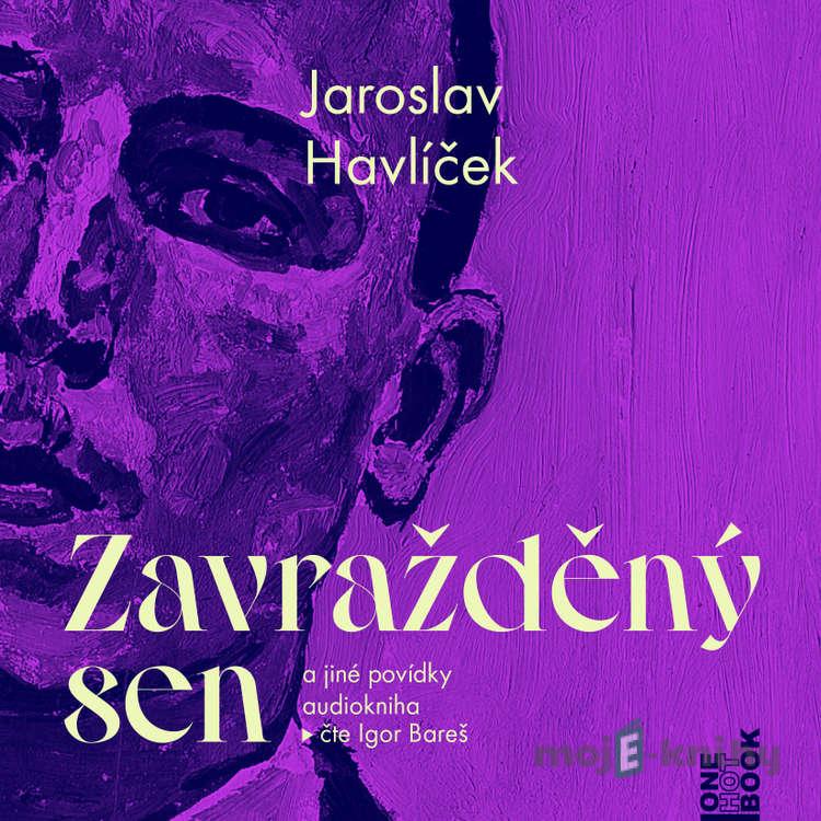 Zavražděný sen a jiné povídky - Jaroslav Havlíček Zavražděný sen a jiné povídky - Jaroslav Havlíček