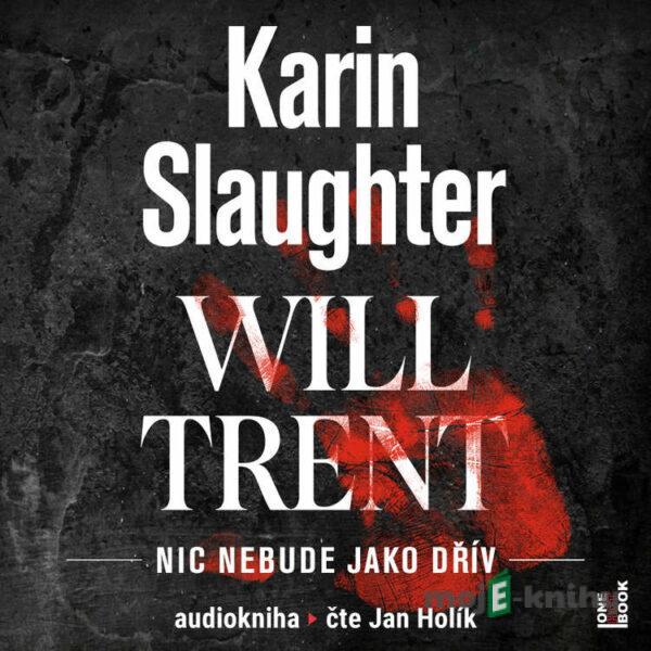 Nic nebude jako dřív - Karin Slaughter