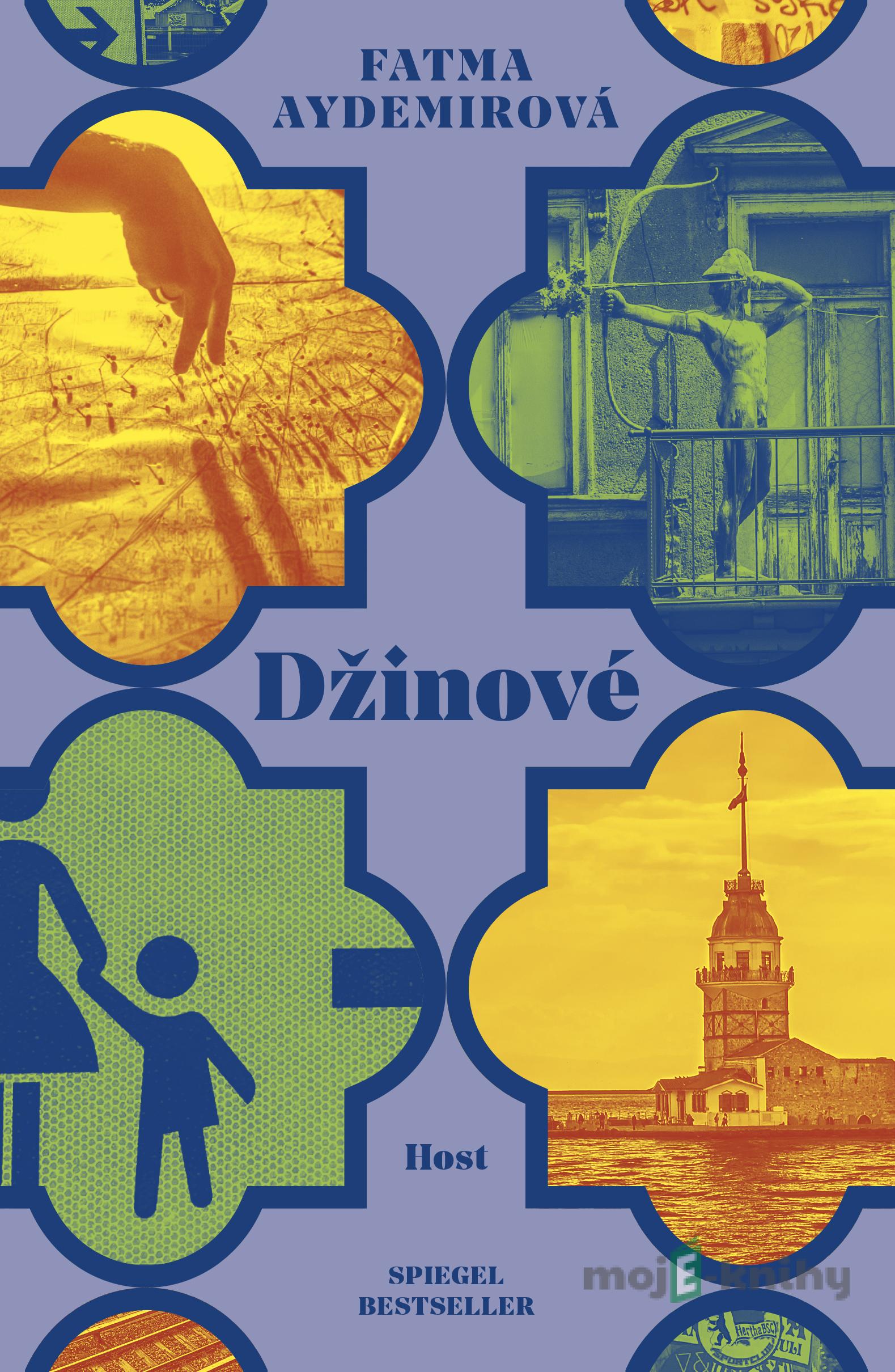 Džinové - Fatma Aydemir Džinové - Fatma Aydemir