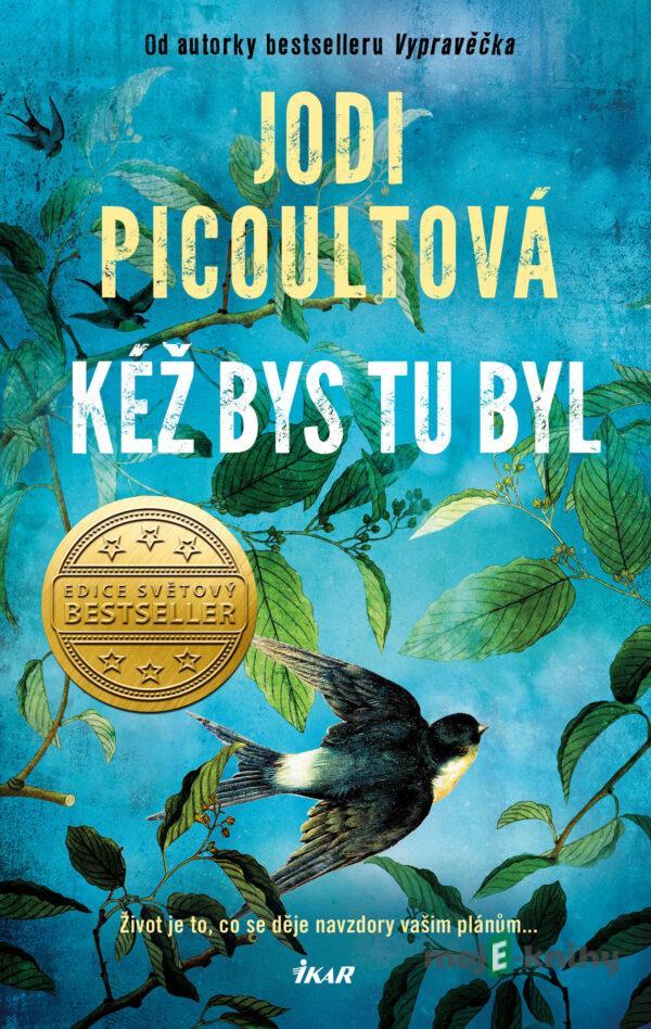 Kéž bys tu byl - Jodi Picoultová