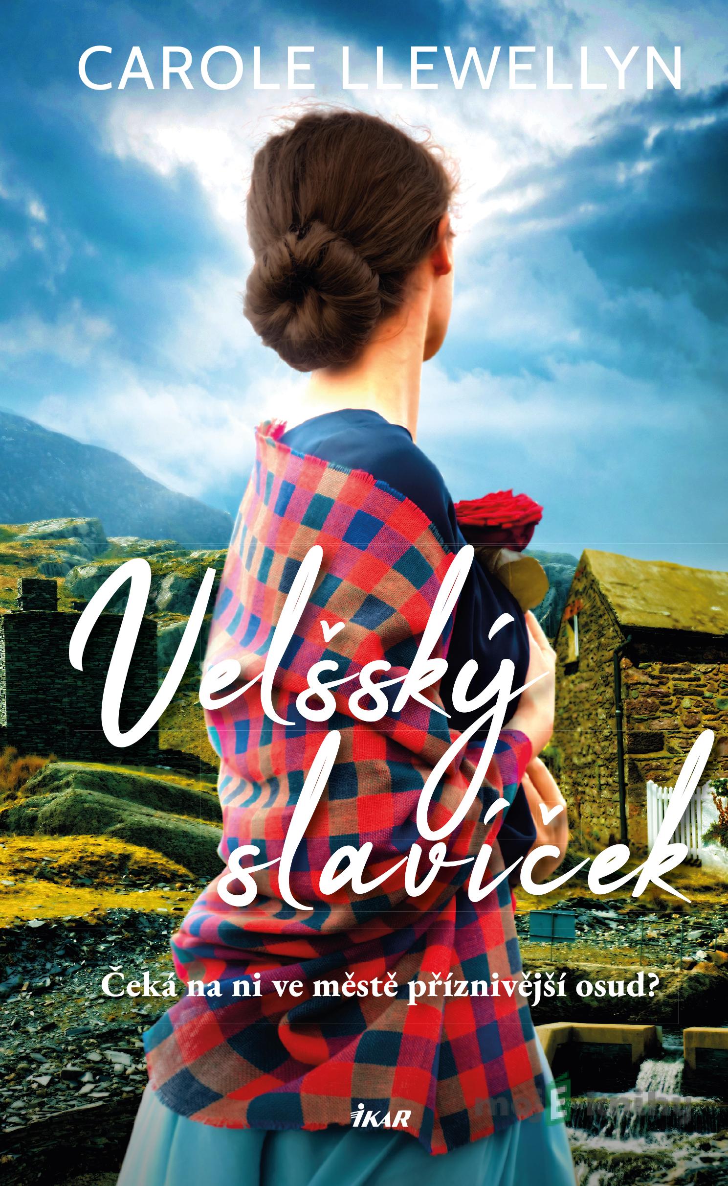 Velšský slavíček - Carole Llewellyn Velšský slavíček - Carole Llewellyn