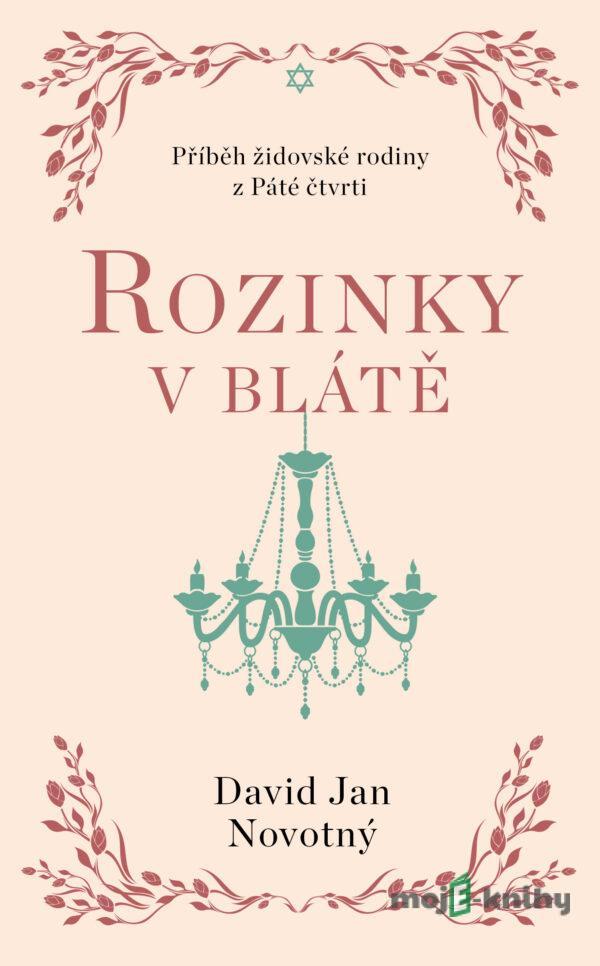 Rozinky v blátě - Jan David Novotný