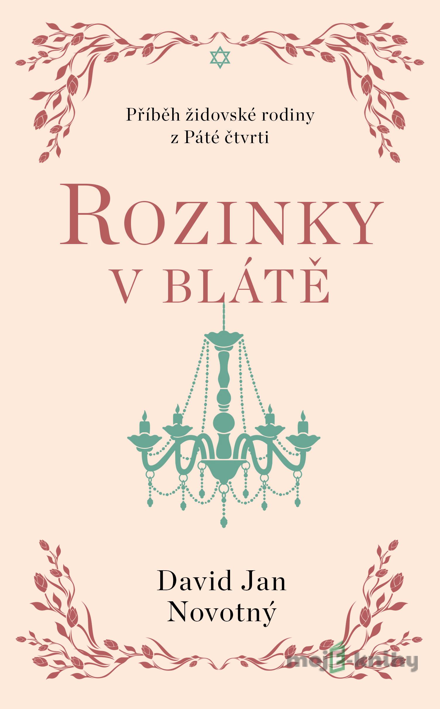 Rozinky v blátě - Jan David Novotný Rozinky v blátě - Jan David Novotný