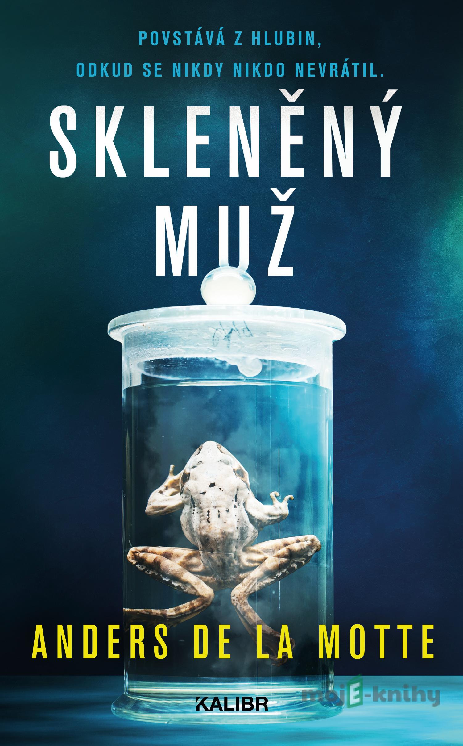Skleněný muž - Anders la de Motte Skleněný muž - Anders la de Motte