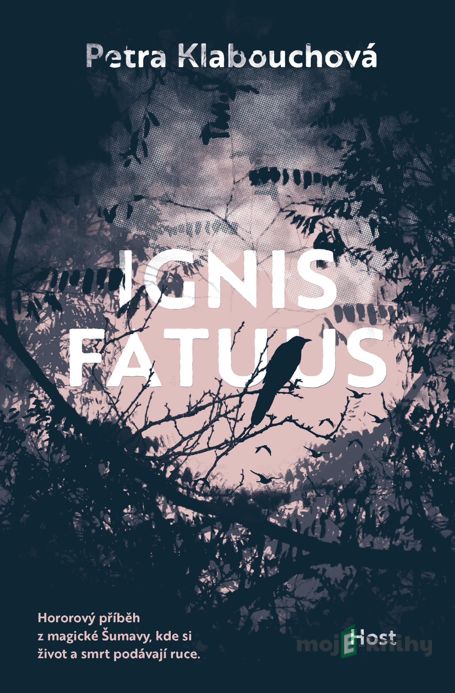 Ignis fatuus - Petra Klabouchová Ignis fatuus - Petra Klabouchová