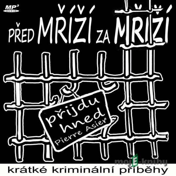 Před mříží, za mříží - Pierre Asier