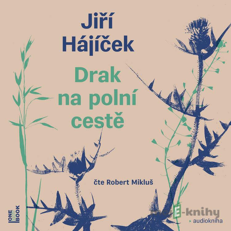Drak na polní cestě - Jiří Hájíček Drak na polní cestě - Jiří Hájíček
