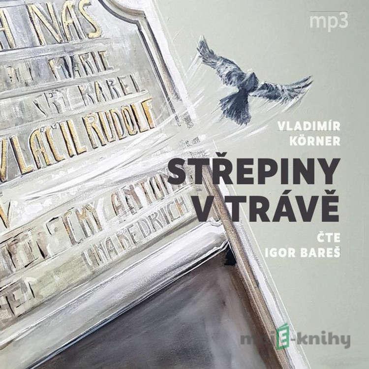 Střepiny v trávě - Vladimír Körner Střepiny v trávě - Vladimír Körner