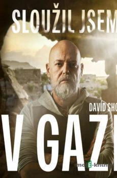 Sloužil jsem v Gaze - David Shorf