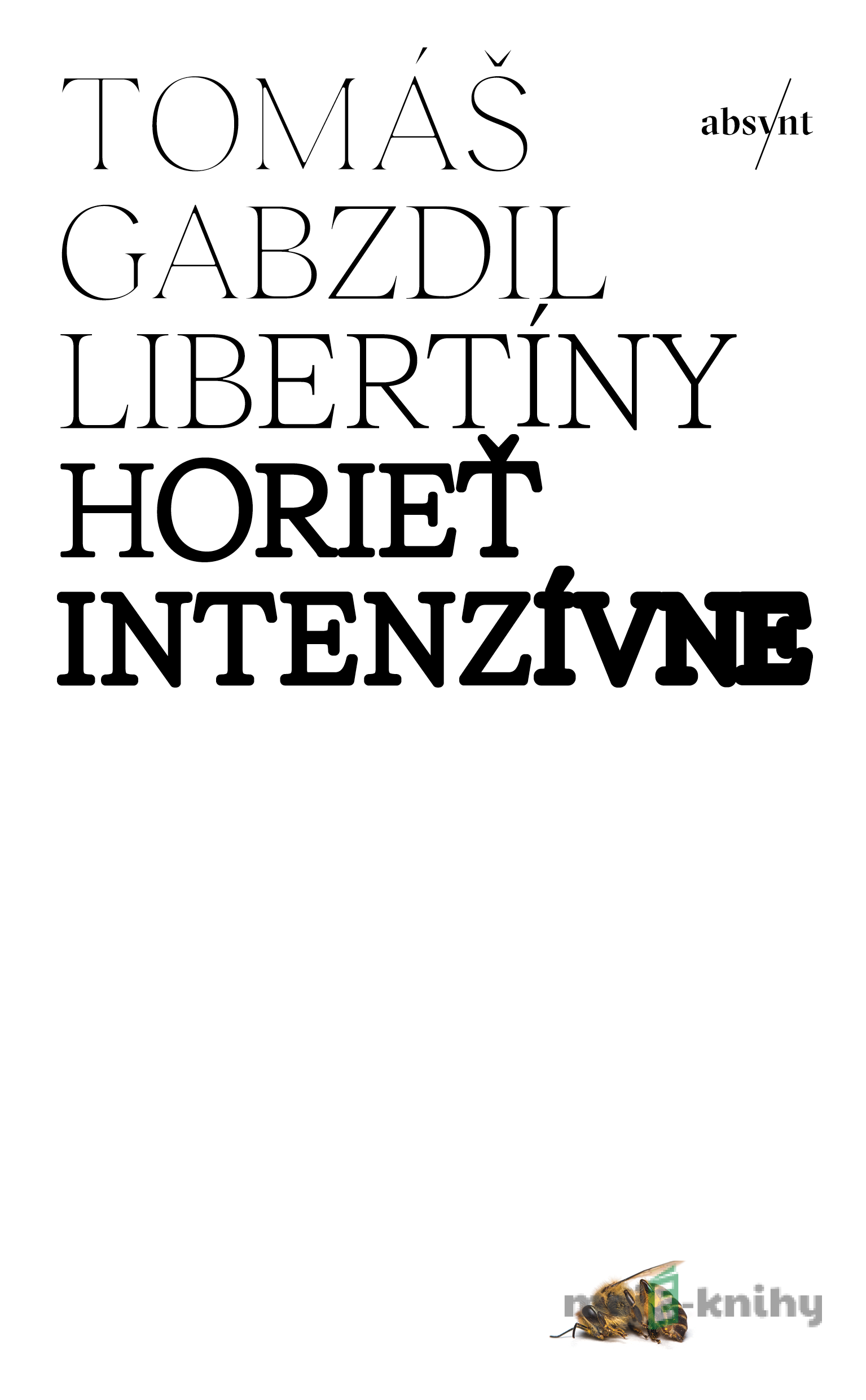 Horieť intenzívne - Tomáš Gabzdil Libertíny Horieť intenzívne - Tomáš Gabzdil Libertíny
