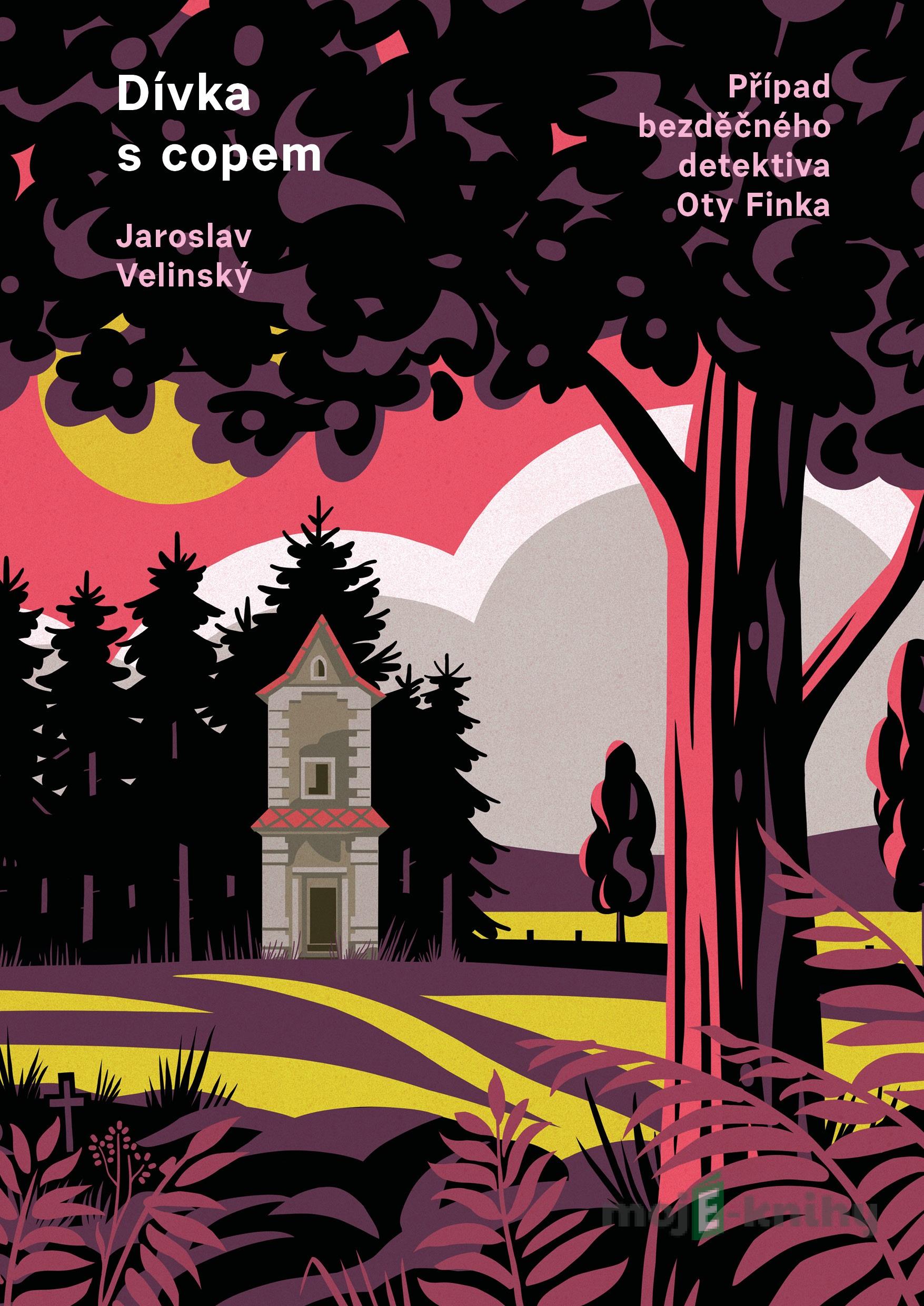 Dívka s copem - Jaroslav Velinský Dívka s copem - Jaroslav Velinský