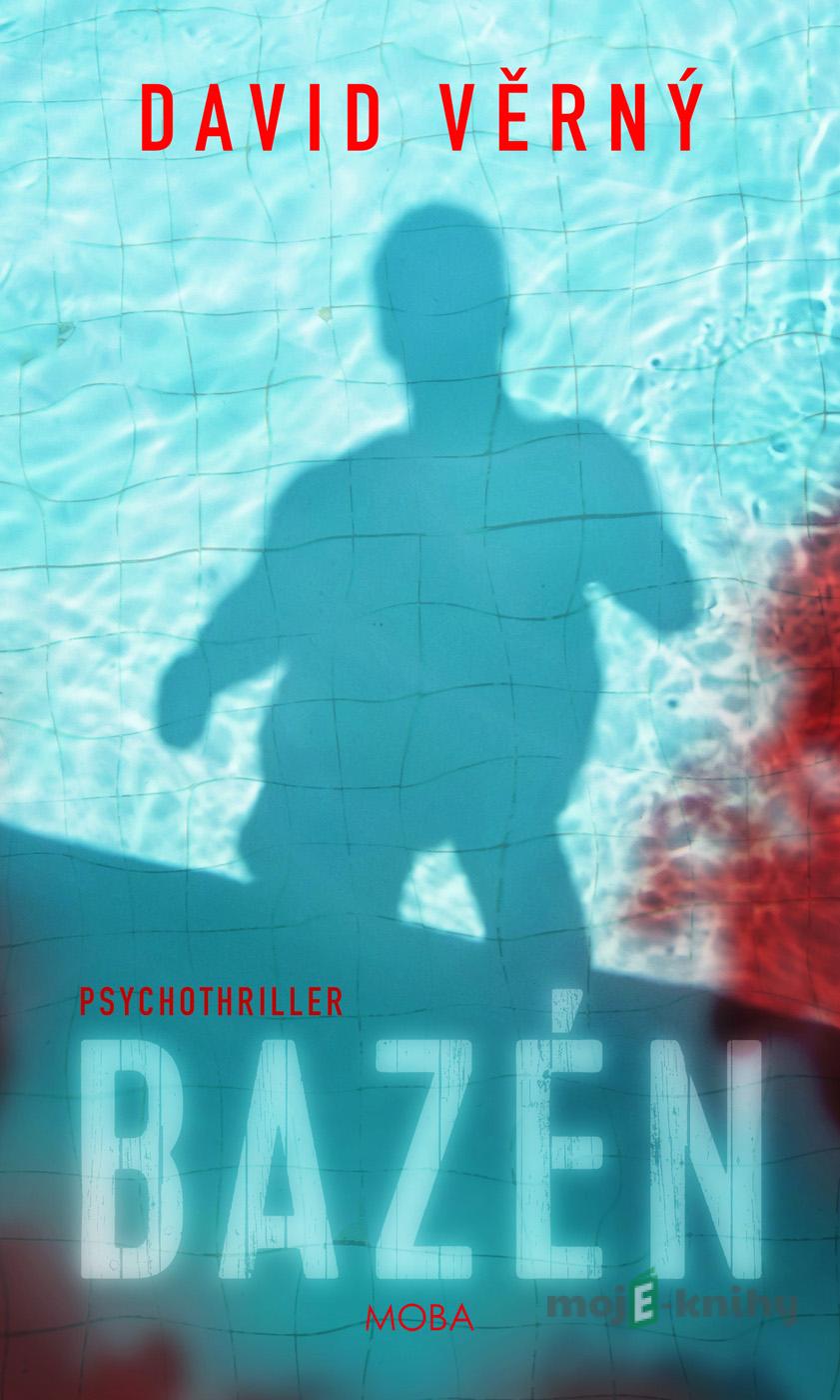 Bazén - David Věrný Bazén - David Věrný