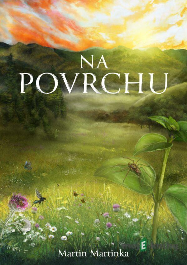 Na povrchu - Martin Martinka