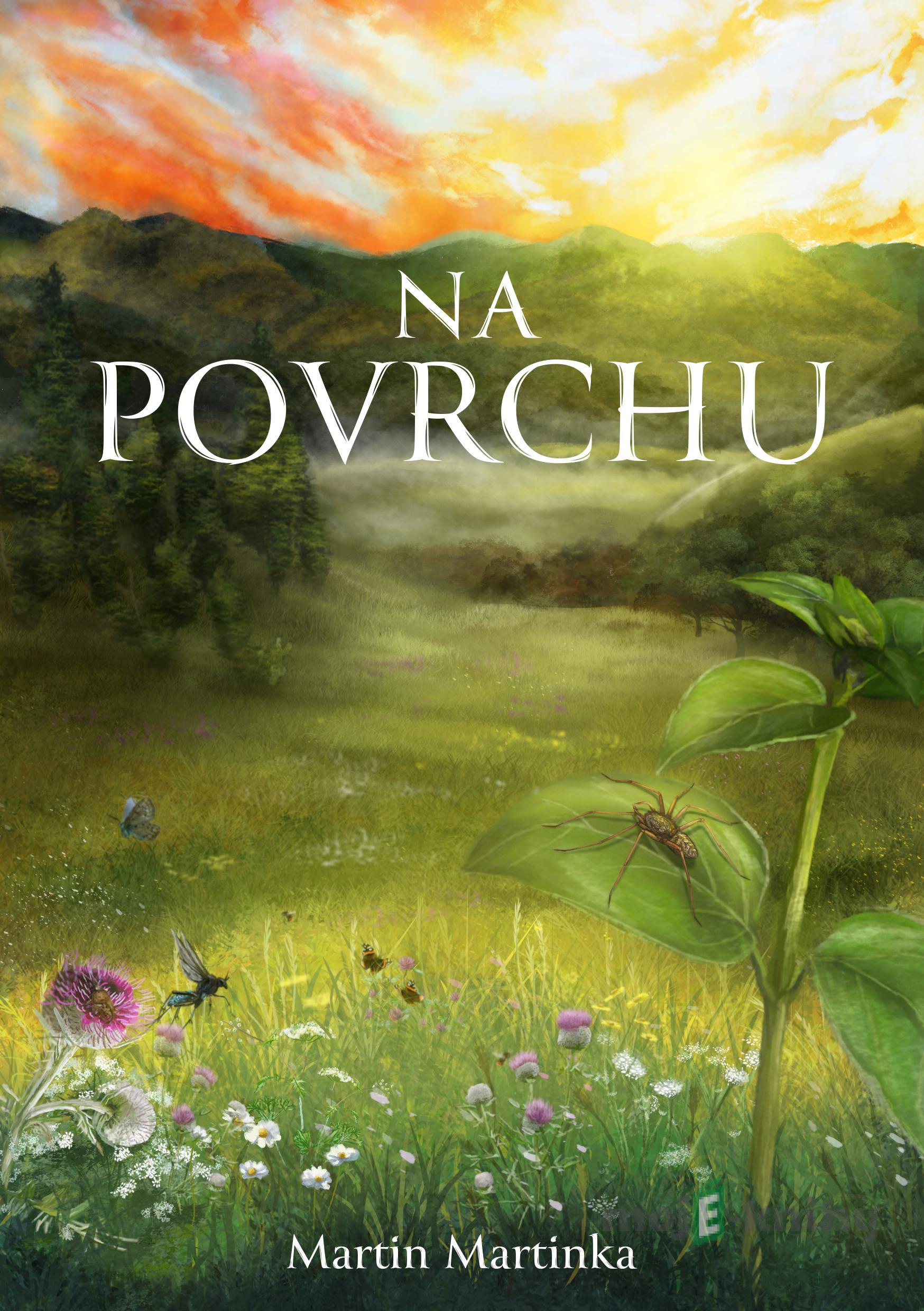 Na povrchu - Martin Martinka Na povrchu - Martin Martinka