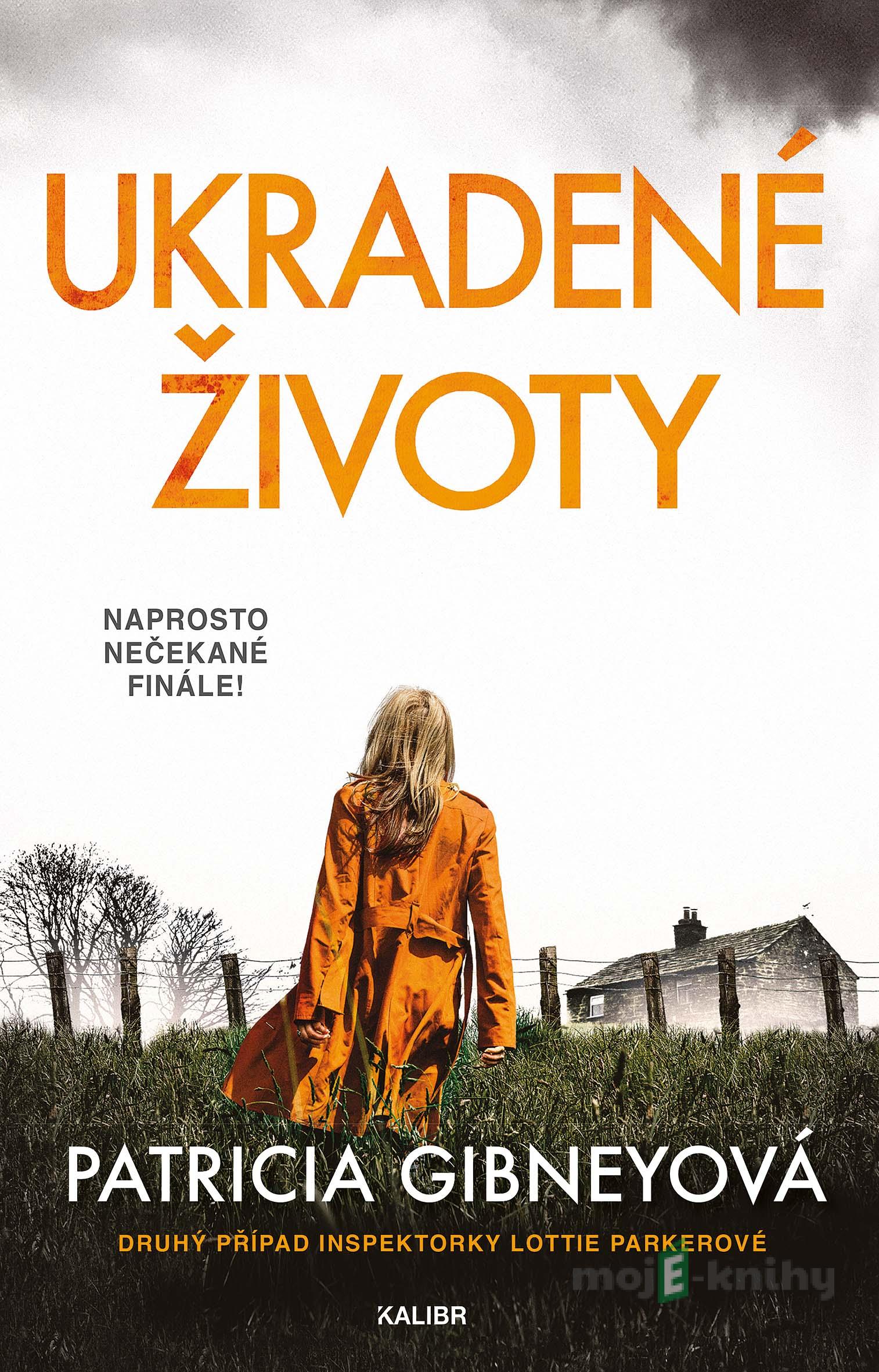 Ukradené životy - Patricia Gibneyová Ukradené životy - Patricia Gibneyová