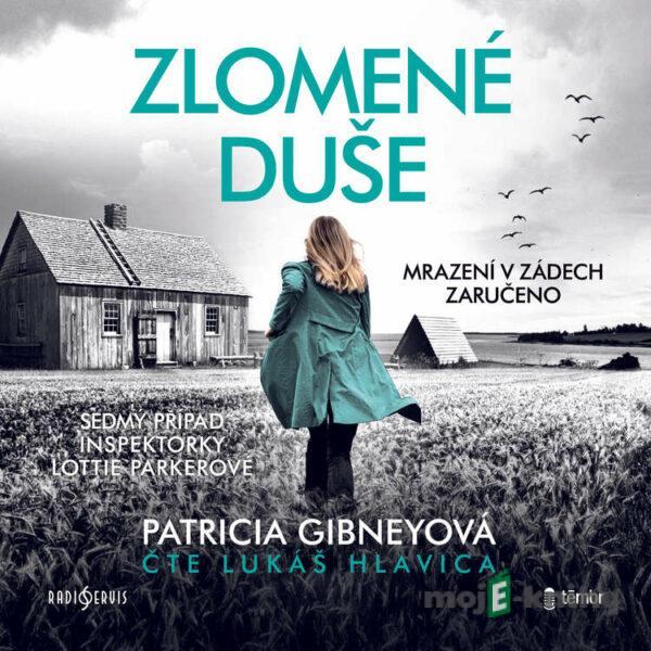 Zlomené duše - Patricia Gibneyová