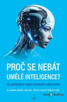 Proč se nebát umělé inteligence? - David Černý