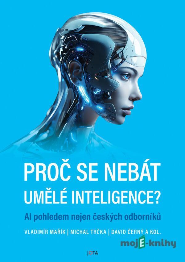 Proč se nebát umělé inteligence? - David Černý