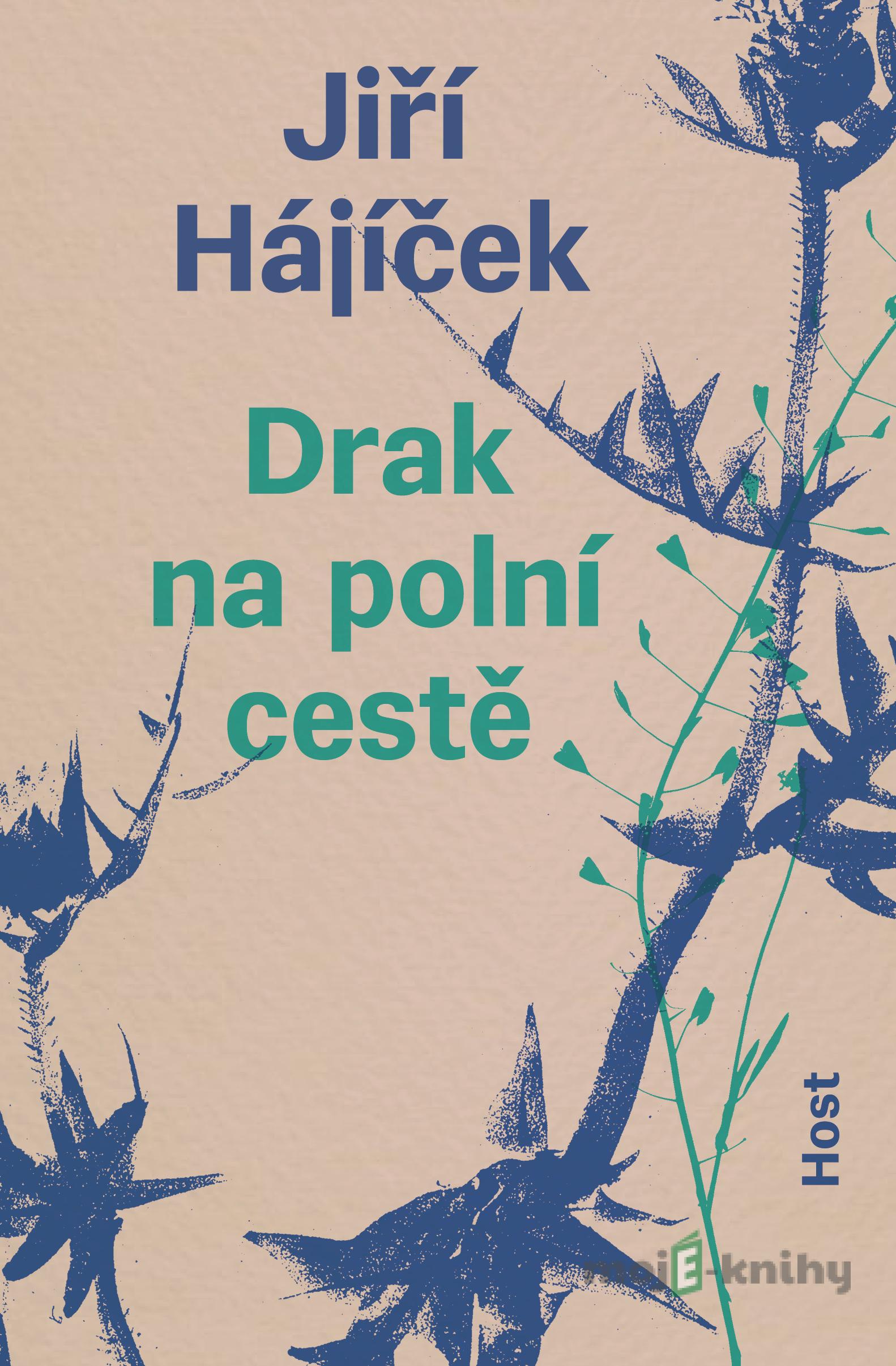 Drak na polní cestě - Jiří Hájíček Drak na polní cestě - Jiří Hájíček