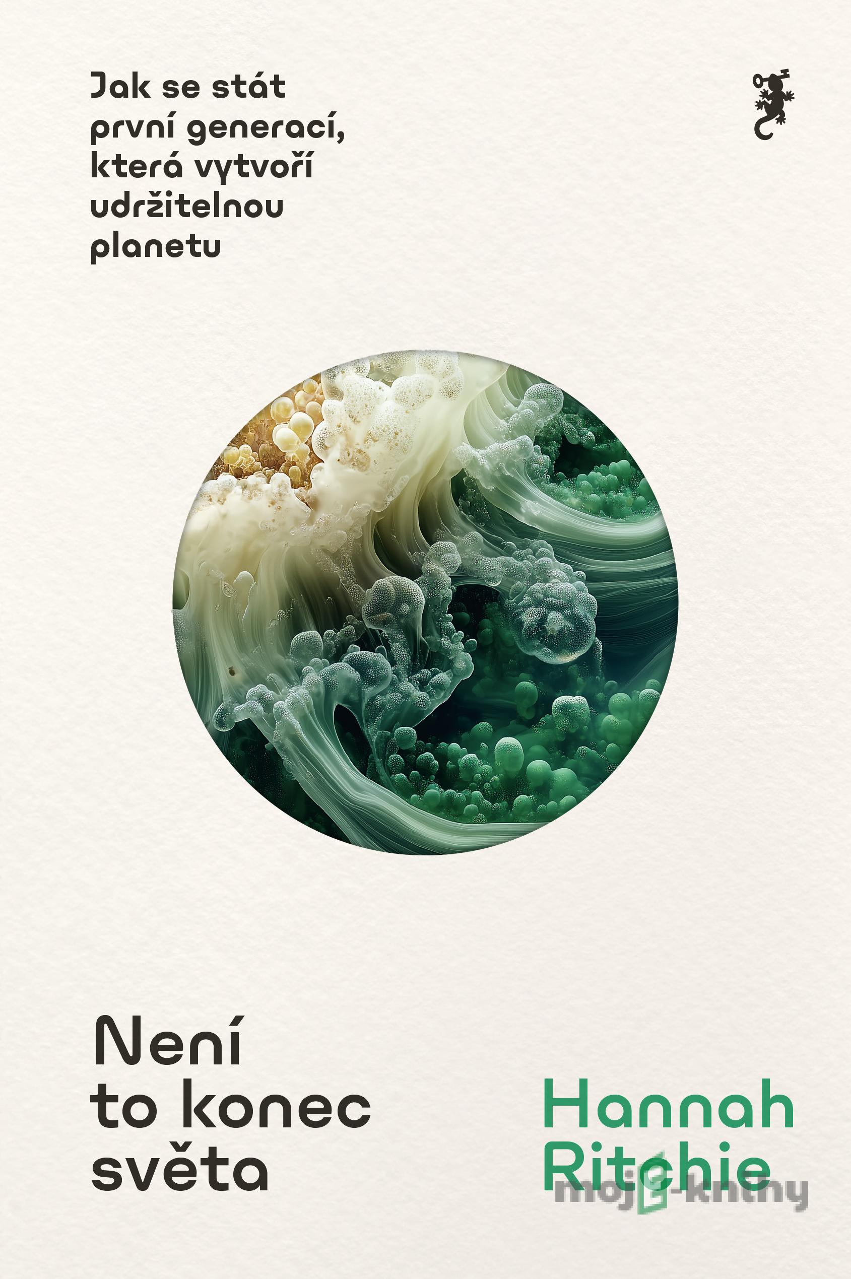 Není to konec světa - Hannah Ritchie Není to konec světa - Hannah Ritchie