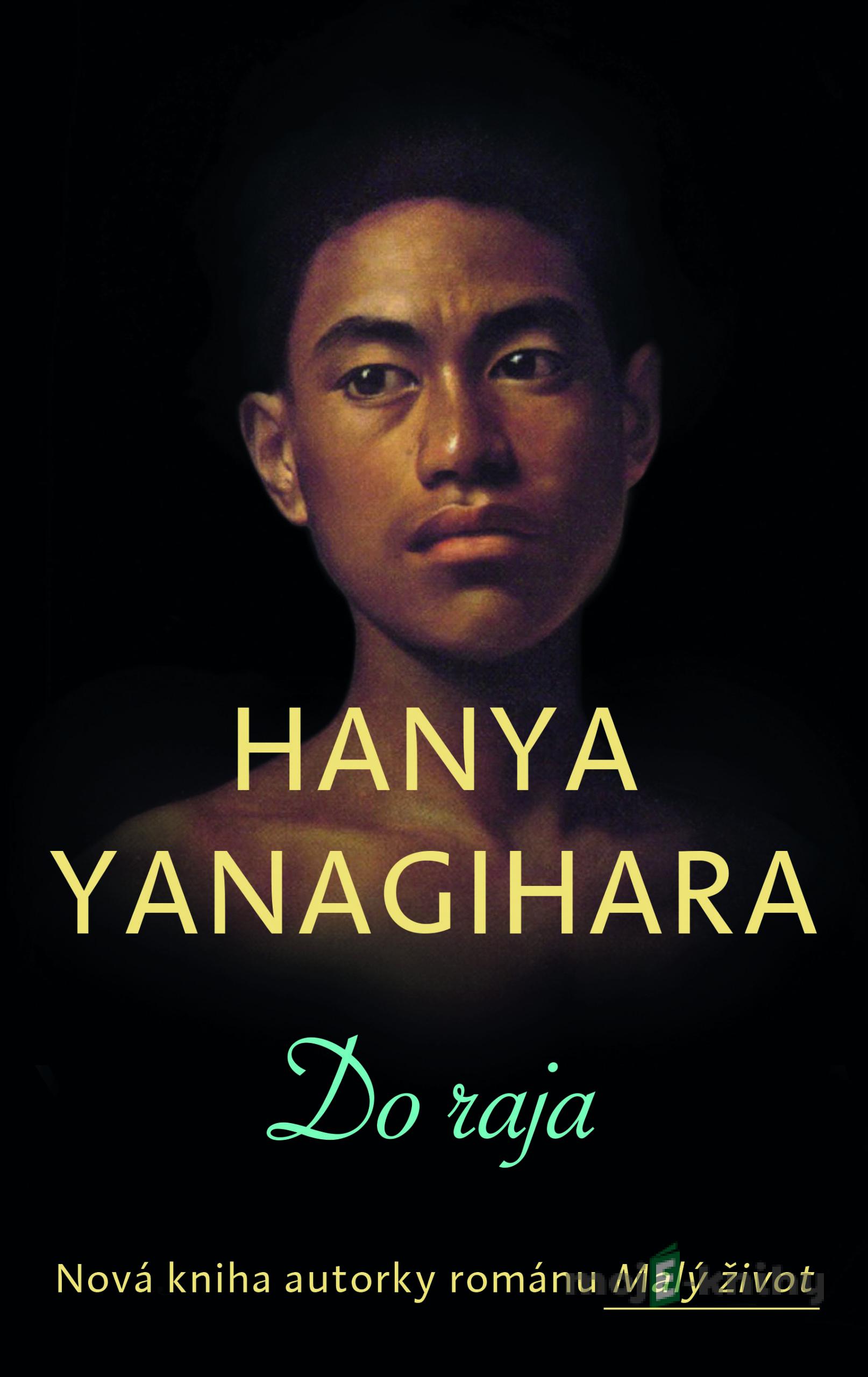 Do raja - Hanya Yanagihara Do raja - Hanya Yanagihara