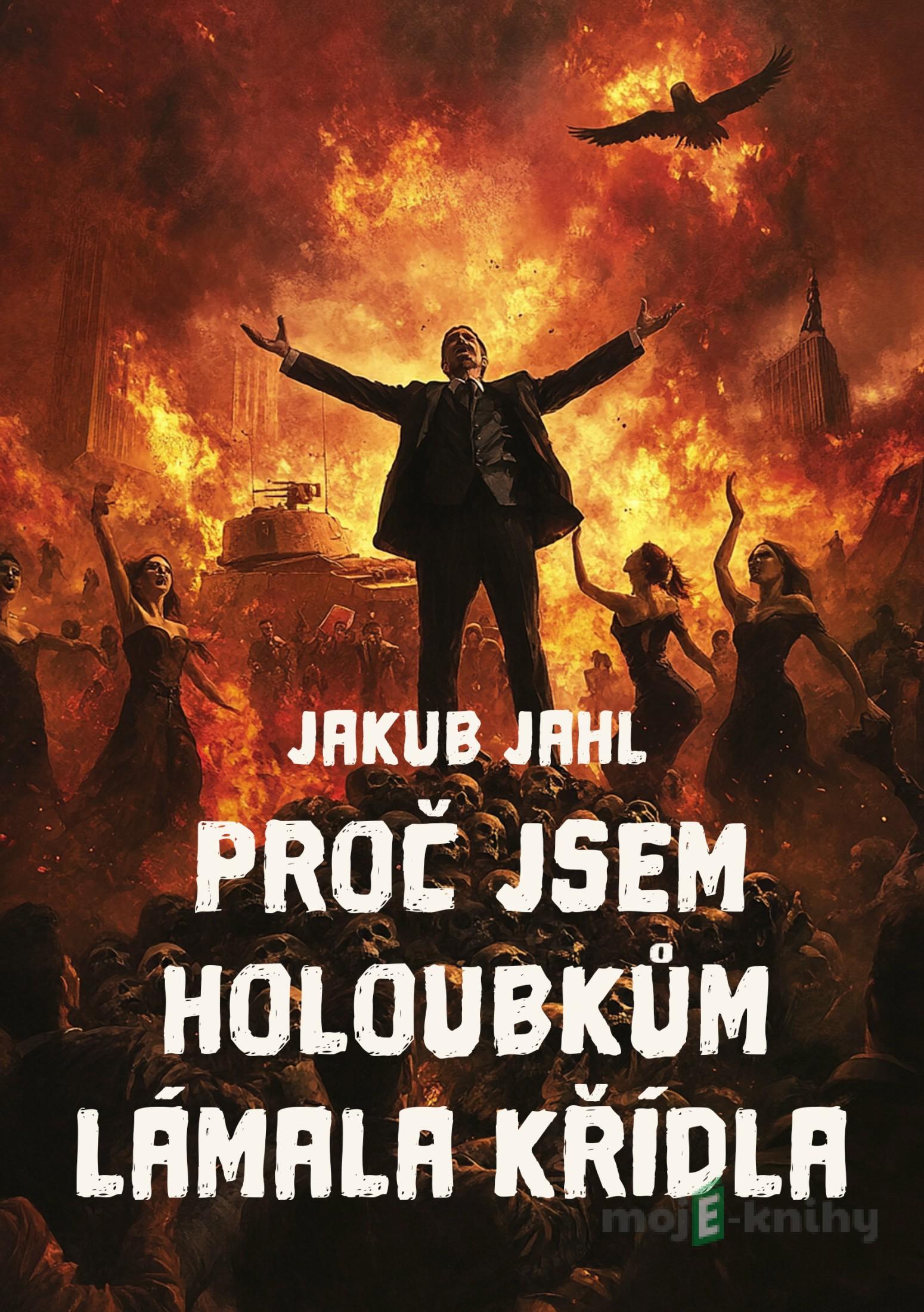 Proč jsem holoubkům lámala křídla - Jakub Jahl Proč jsem holoubkům lámala křídla - Jakub Jahl