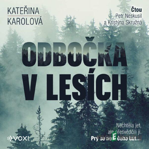 Odbočka v lesích - Kateřina Karolová