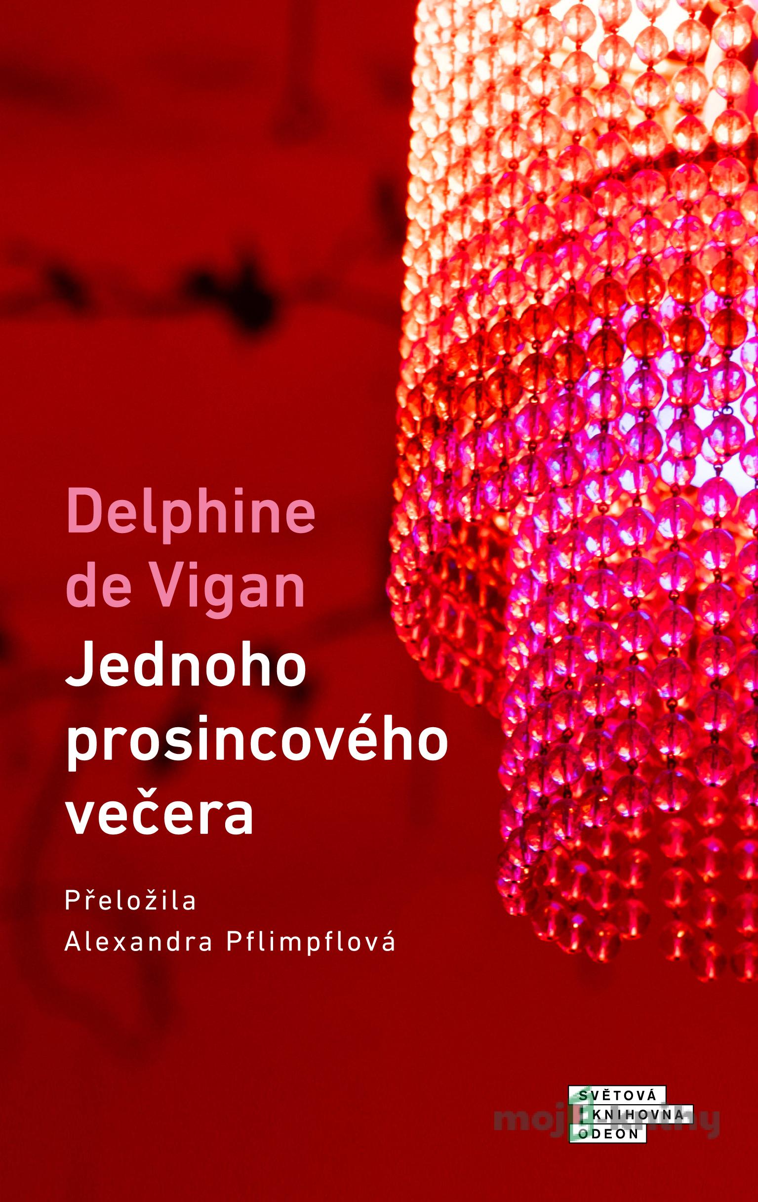 Jednoho prosincového večera - Delphine de Vigan Jednoho prosincového večera - Delphine de Vigan