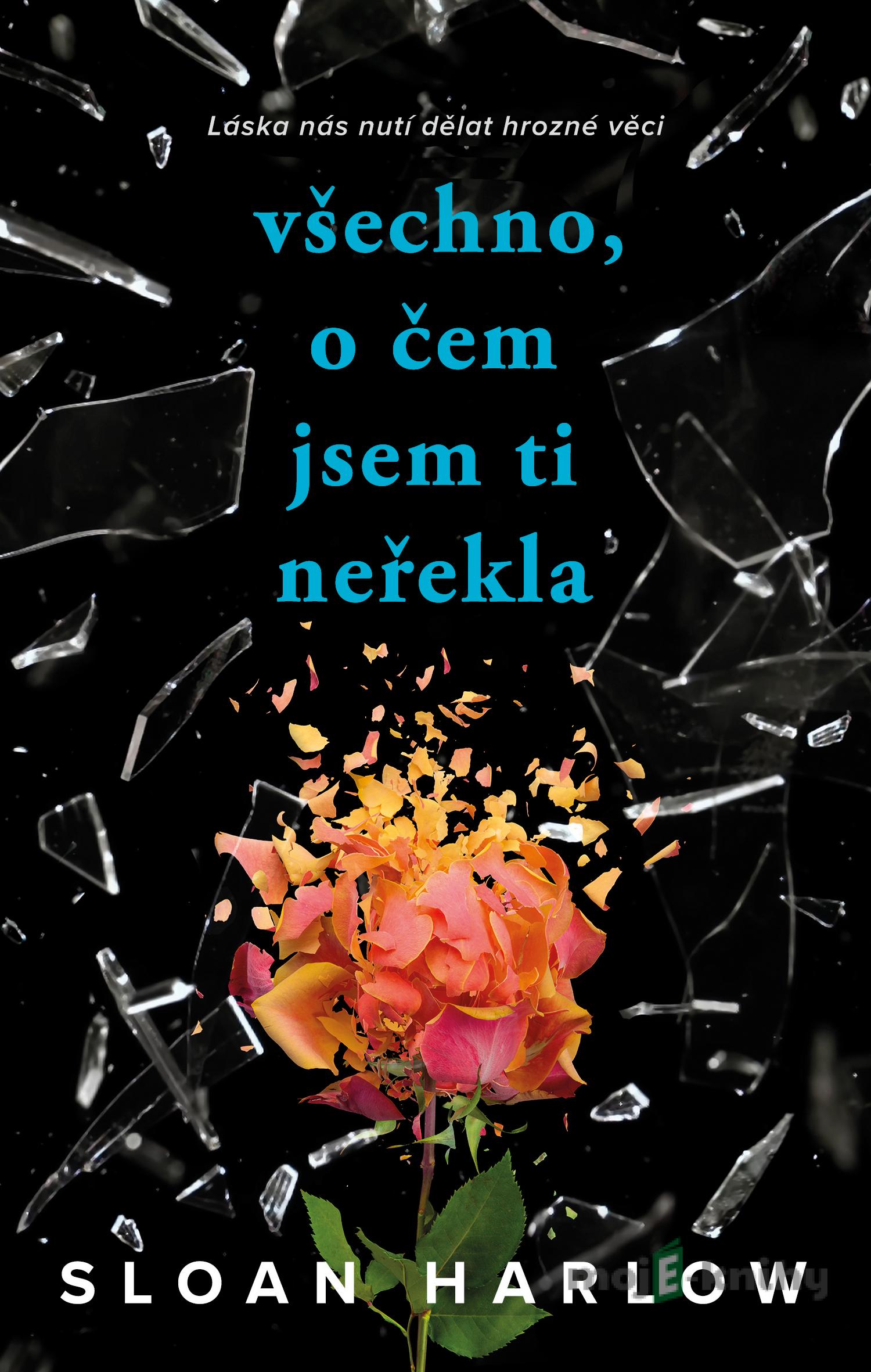 Všechno, o čem jsem ti neřekla - Sloan Harlow Všechno, o čem jsem ti neřekla - Sloan Harlow