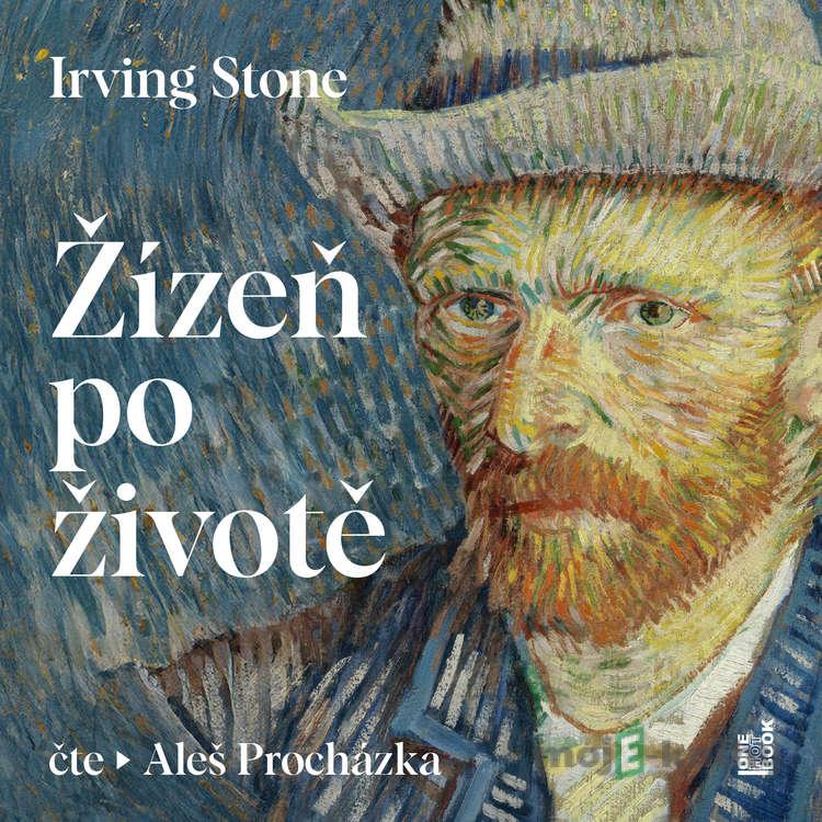 Žízeň po životě - Irving Stone Žízeň po životě - Irving Stone