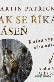 Jak se říká báseň - Martin Patřičný