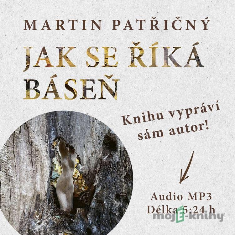 Jak se říká báseň - Martin Patřičný Jak se říká báseň - Martin Patřičný