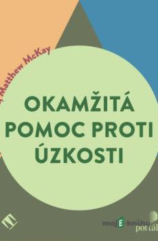 Okamžitá pomoc proti úzkosti - Rick Hanson,Matthew McKay