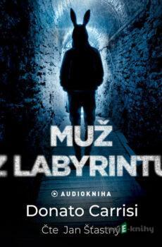 Muž z labyrintu - Donato Carrisi