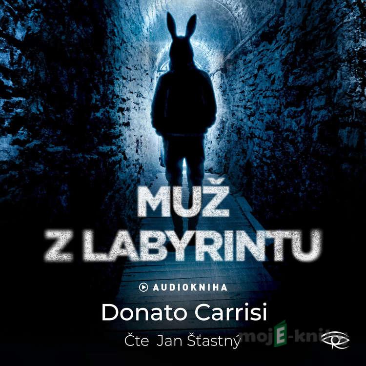 Muž z labyrintu - Donato Carrisi Muž z labyrintu - Donato Carrisi