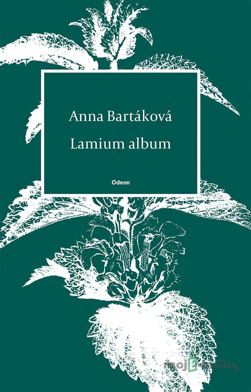 Lamium album - Anna Bartáková Lamium album - Anna Bartáková