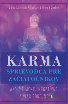 Karma – sprievodca pre začiatočníkov - Lama Lhanang Rinpoche a Mordy Levine