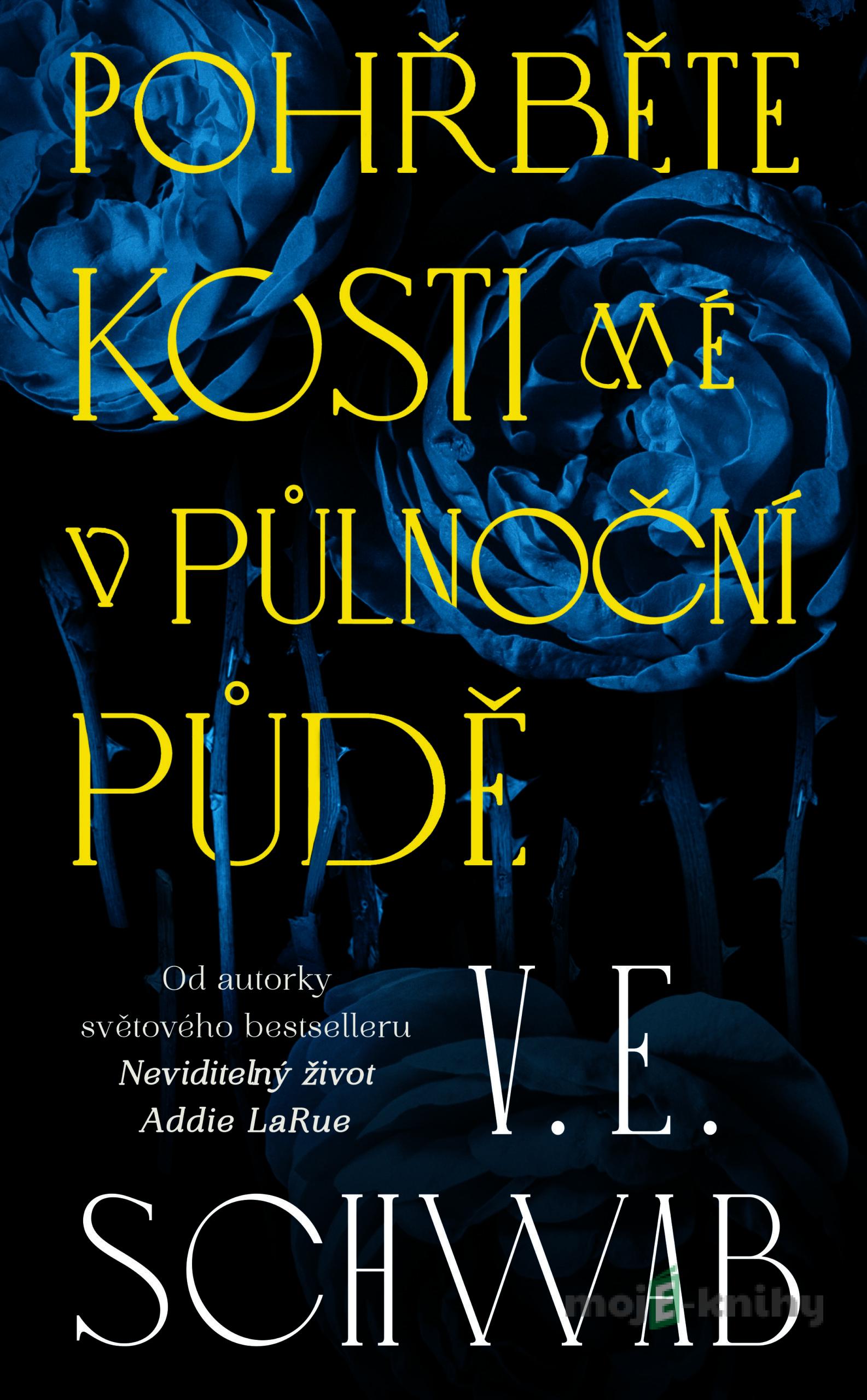 Pohřběte kosti mé v půlnoční půdě - V. E. Schwab Pohřběte kosti mé v půlnoční půdě - V. E. Schwab