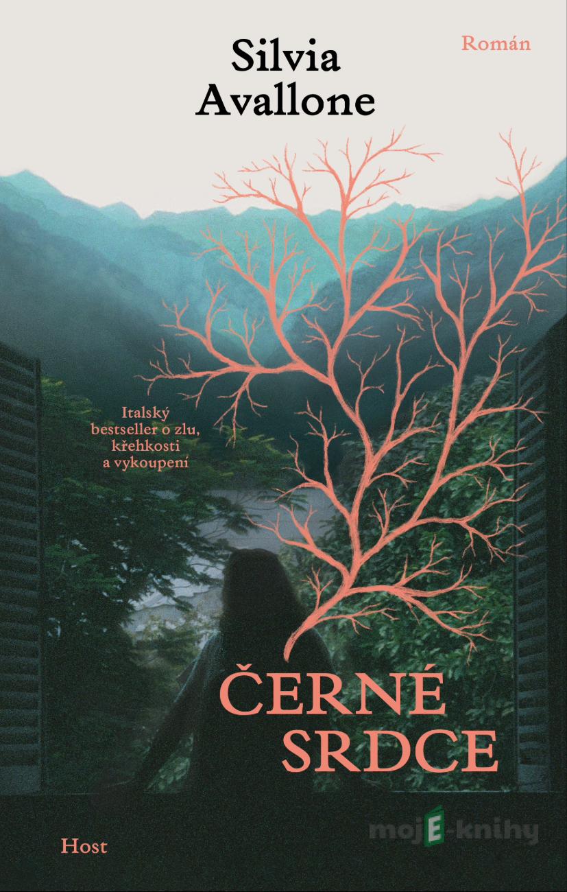 Černé srdce - Silvia Avallone Černé srdce - Silvia Avallone