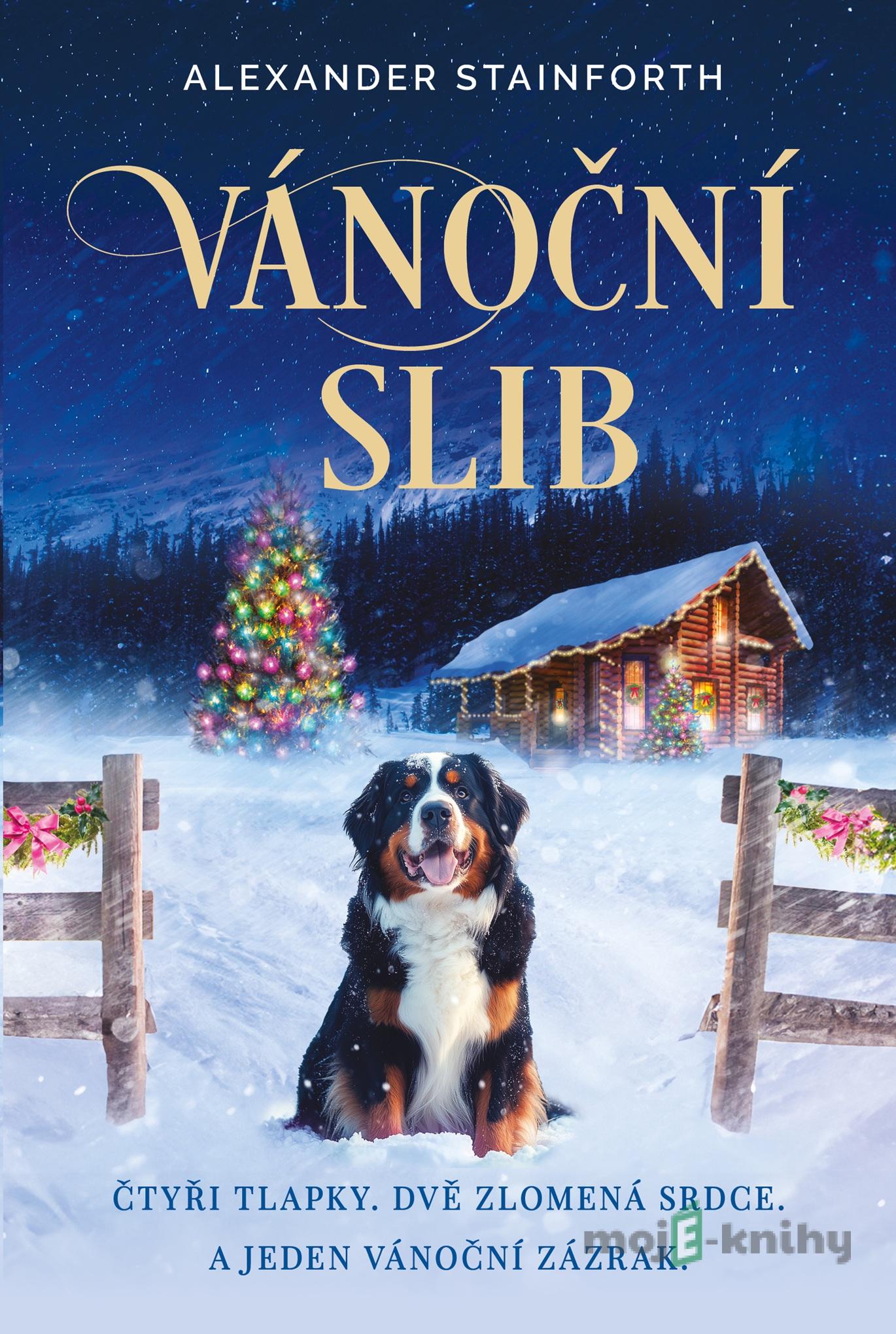 Vánoční slib - Alexander Stainforth Vánoční slib - Alexander Stainforth