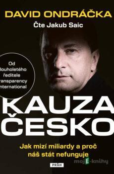 Kauza Česko - David Ondráčka