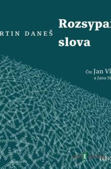 Rozsypaná slova - Martin Daneš