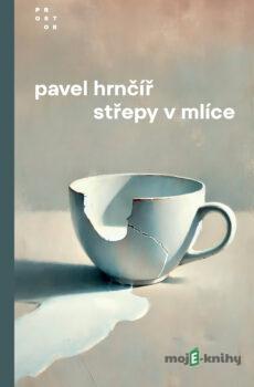 Střepy v mlíce - Pavel Hrnčíř
